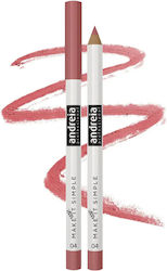 Andreia Professional Perfect Definition Lip Liner