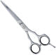 Eurostil Evolute Hair Cutting Trimming Scissor 6"