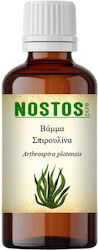 Nostos Pure Spirulina Tincture Спирулина 50мл