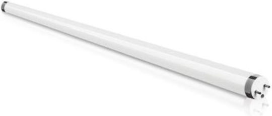 Fos me Lampă Fluorescentă pentru Dulie G13 cu Formă T8 58W