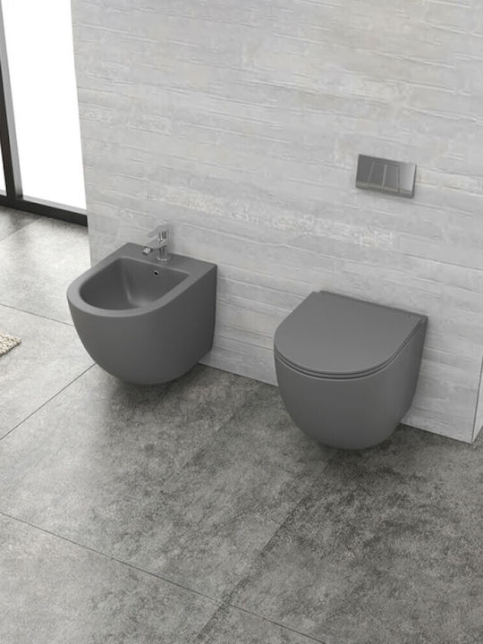 Karag Plastic Soft Close Toilet Slim Seat Grey ...