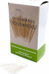 Homestyle Toothpick 1000pcs 7351000-50