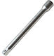 SKS Tools Kastanienverlängerung mit Karré 1/4" und Länge 100mm