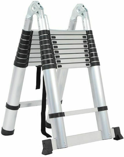 Vesta Telescopic Ladder Aluminum 18 of Steps with Maximum Height 5.6m