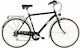 Alpina Roxy Man 28" 2022 Μαύρο Ποδήλατο Πόλης με Ταχύτητες