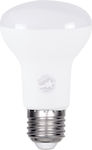 GloboStar LED Lampen für Fassung E27 und Form R63 Kühles Weiß 1000lm 1Stück