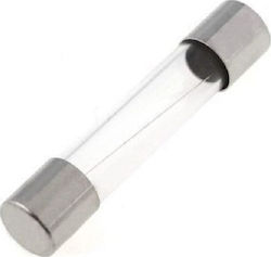 Tirh Zylindrische Glas Sicherung 5x20mm 10A