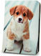 Flip Cover Piele artificială Puppy (Universal 9-10" - Universal 9-10") CAS.007.43.278