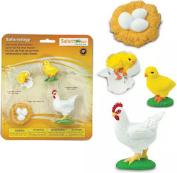 Safari Ltd Life Cycle of a Chicken für 4+ Jahre Jahre alt