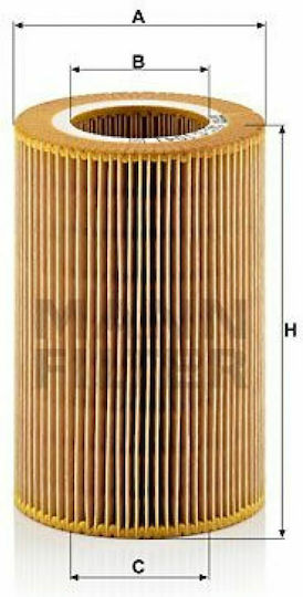 Mann Filter Filtru de Aer Auto pentru Smart PentruDoi