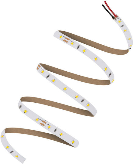 Ledvance Ταινία LED 24V Θερμό Λευκό Φως 5m Τύπου SMD2835