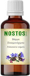 Nostos Pure Βάμμα Πνευμονόχορτο 100ml