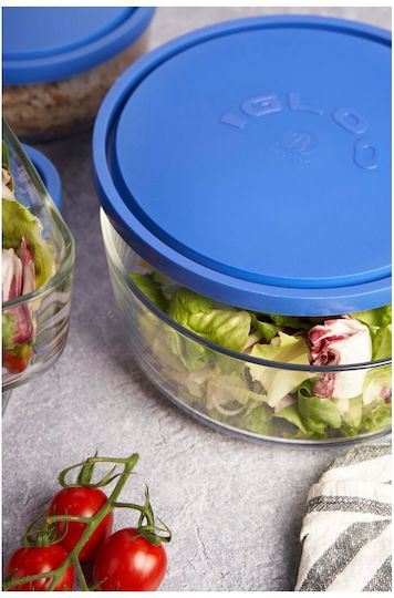 Borgonovo Igloo Blaue 400ml Mittagsboxen
