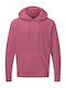 Hooded Sweatshirt SG SG27 Cassis