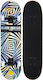 Black Dragon Prism Blox MLT Complete Shortboard 7.87" Multicolour