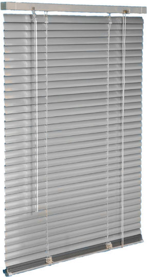 Frans Shade Blind Aluminum Nickel L140xH140cm Frans Shade Blind Aluminum Nickel L140xH140cm