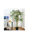Изкуствено растение в саксия Бамбук Green 120см Outsunny