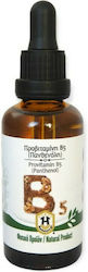 Herbstore Προβιταμίνη B5 (Πανθενόλη) 1000ml
