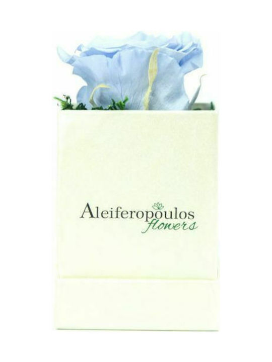 Aleiferopoulos Flowers Ewige Rose Hellblau 9cm in Box 1Stück