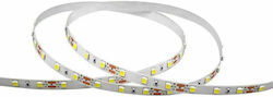 V-TAC LED Strip Power Supply 12V with Cold White Light Length 1m and 60 LEDs per Meter