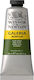 Winsor & Newton Acrylic Paint Set in Green color Olive Green 60ml 1pcs