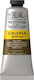 Winsor & Newton Acrylic Paint Set in Brown color Raw Umber 60ml 1pcs