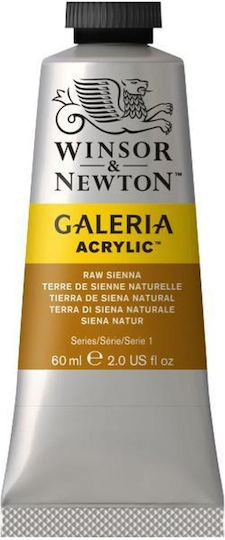 Winsor & Newton Acrylic Paint Set in Yellow color Raw Sienna 60ml 1pcs