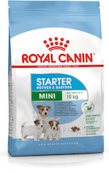 Royal Canin Starter Mother & Babydog Mini 4kg Royal Canin Starter Mother & Babydog Mini 4kg
