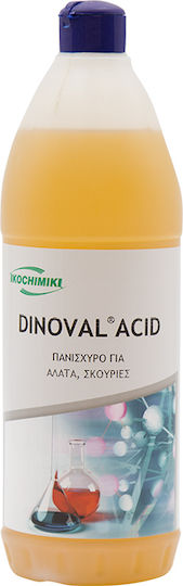 Ikochimiki Dinoval Acid Special Commercial Cleaner against Limescale 1lt