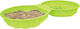 Big Пясъчник Watershell Зелена