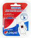 Read My Lips Pepsi Phone Stand Lip Balsam 4gr
