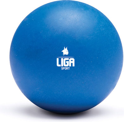 Liga Sport Übungsbälle Massage 10cm in Blau Farbe