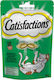 Catisfactions Snacks Treats with Calf with Catnip for Adult Cats 60gr