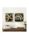Megapap Starfish Shell Двойно Картина Платнен 103x50см