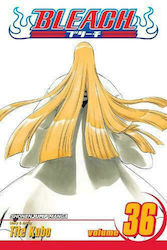 Bleach Vol. 36