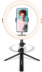 AgfaPhoto Realiview ARL11 Lumină Inelară De Birou Cu Trepied AgfaPhoto Realiview ARL11 Lumină Inelară De Birou Cu Trepied