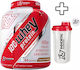 Immortal Nutrition 100% Whey Protein 2000gr Chocolate Hazelnut & Shaker