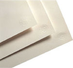 Schoeller Χαρτί Σχεδίου Gloss 150gr 50x35cm