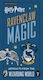 Ravenclaw Magic, Artifacts from the Wizarding World