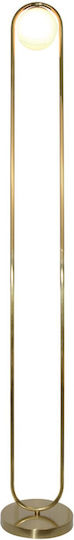 Inlight 45016 Stehleuchte H160xB22cm. mit Fassung für Lampe G9 Gold