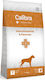 Calibra Vet Dog Gastrointestinal & Pancreas 2kg Dry Food for Dogs Gluten-Free with Rice, Fish and Salmon