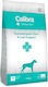 Calibra Vet Dog Hypoallergenic Skin & Coat 12kg Dry Food for Dogs Gluten-Free with Fish and Salmon
