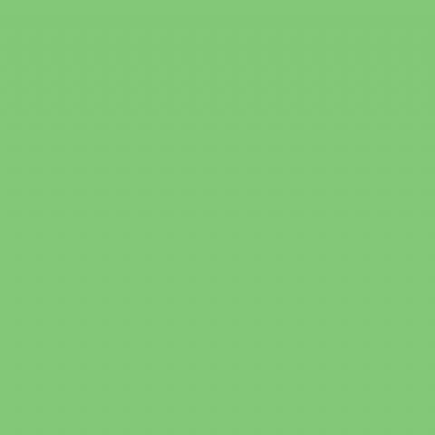 Falcon Eyes Paper Φωτογραφικό Φόντο Χάρτινο 275x1100εκ. Summer Green