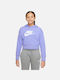 Nike Kids Cropped Sweatshirt with Hood Lilac Sportswear Club