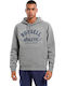 Sporting Division Φούτερ με Κουκούλα Light Grey Melange