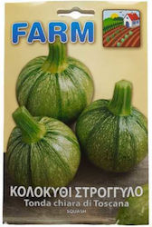 Primasem Seeds Pumpkinς Zucchini 1gr