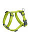 Hunter Σαμαράκι Σκύλου London Vario Rapid Κίτρινο XX-Small 25-42cm 013490