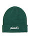 Beanie Beanie Knitted in Green color