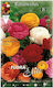 Gemma Bulbs Buttercupς Yellow 10pcs