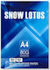 Snow Lotus Χαρτί Εκτύπωσης A4 80gr/m² 500 φύλλα